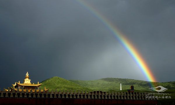 https://www.hailuogou.com/hlg-cms/ueditor/download?id=1010403991736074240