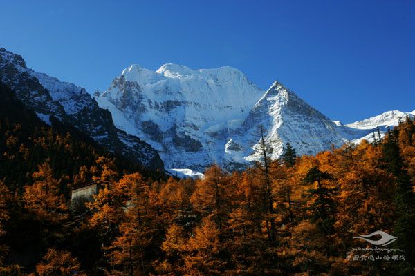 https://www.hailuogou.com/hlg-cms/ueditor/download?id=1010408464000794624