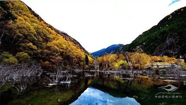 https://www.hailuogou.com/hlg-cms/ueditor/download?id=1019846107609743360