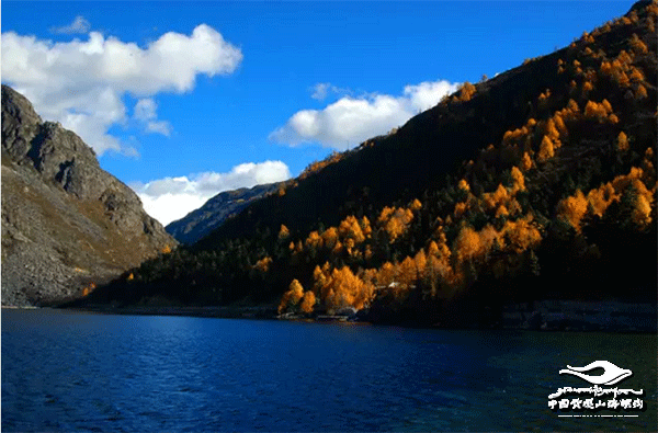 https://www.hailuogou.com/hlg-cms/ueditor/download?id=1019859560047099904